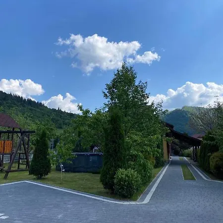 гніздо беркута